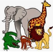 placeholder image to represent content