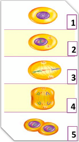 placeholder image to represent content