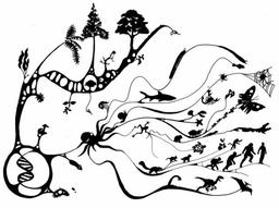 placeholder image to represent content