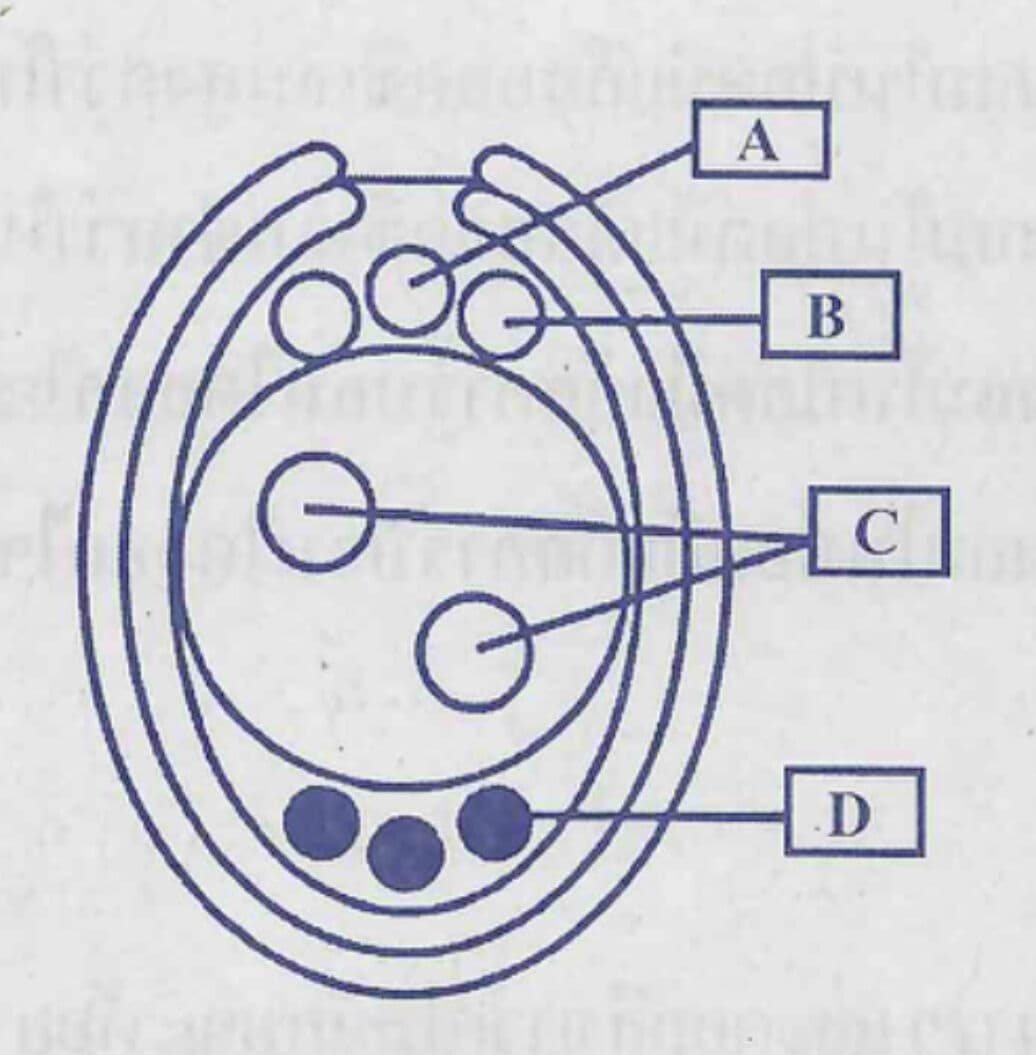 Question Image