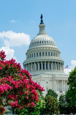 placeholder image to represent content