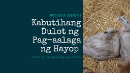 placeholder image to represent content