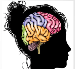 placeholder image to represent content