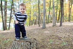 placeholder image to represent content