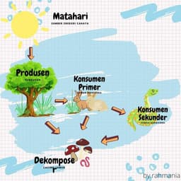 placeholder image to represent content