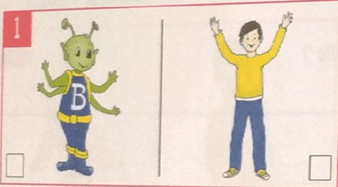 Question Image
