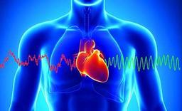 placeholder image to represent content