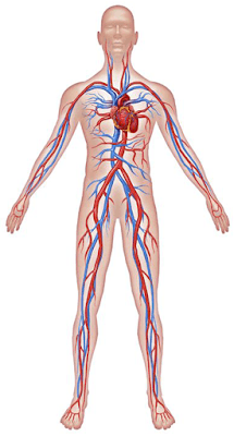 placeholder image to represent content