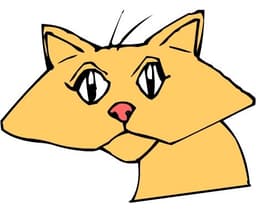 placeholder image to represent content