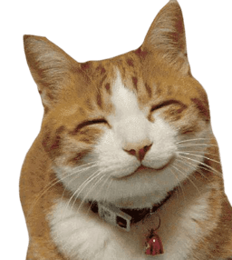 placeholder image to represent content