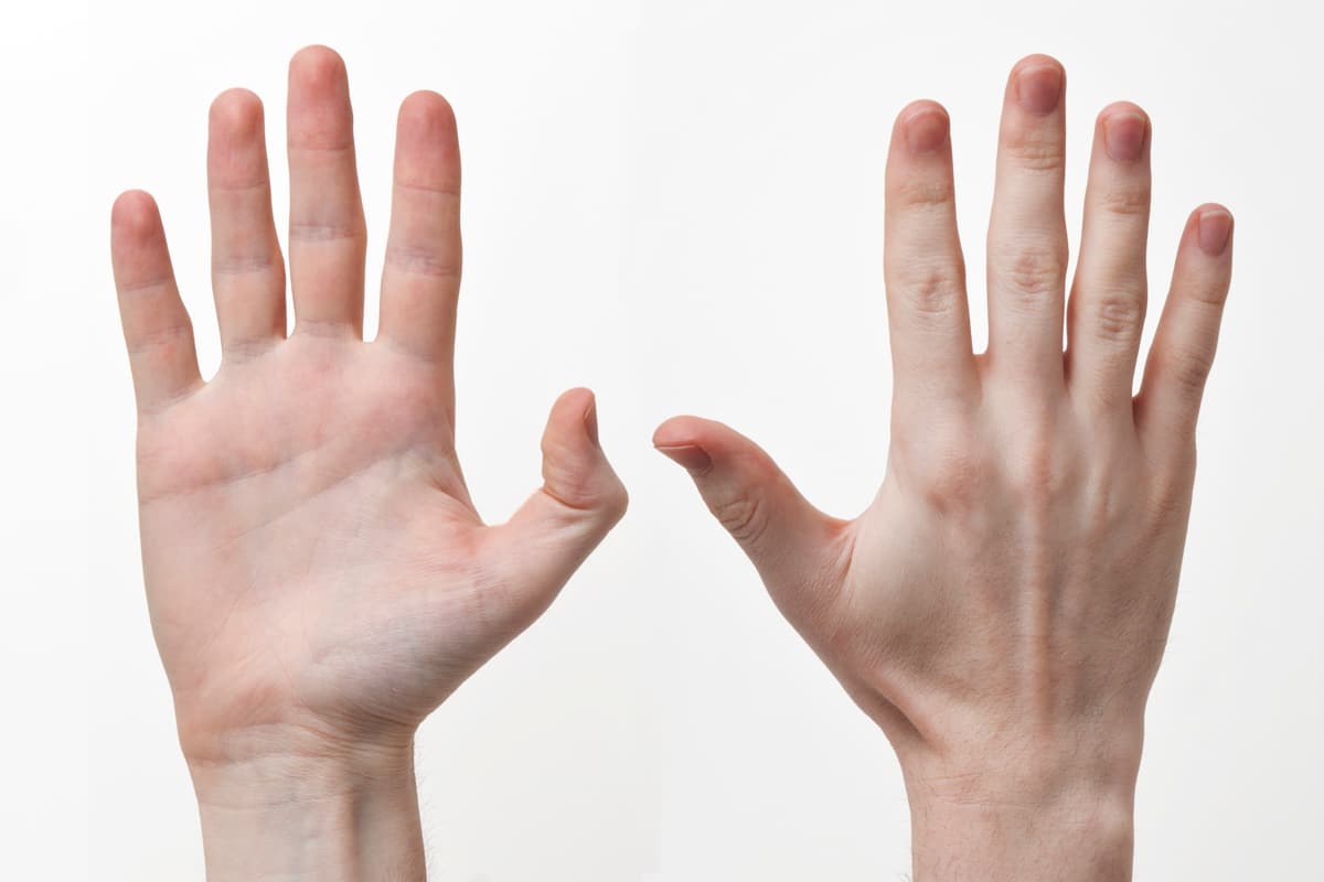 Question Image