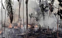 placeholder image to represent content