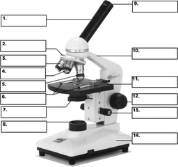 placeholder image to represent content