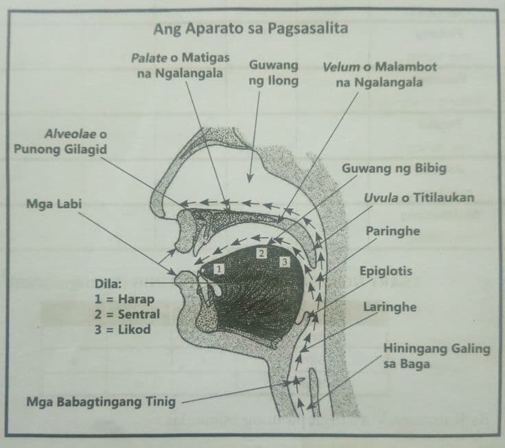 Question Image
