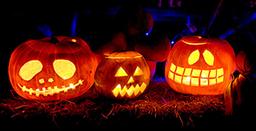 placeholder image to represent content