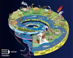 placeholder image to represent content