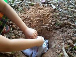 placeholder image to represent content