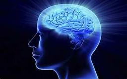 placeholder image to represent content