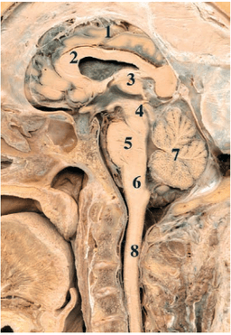 placeholder image to represent content