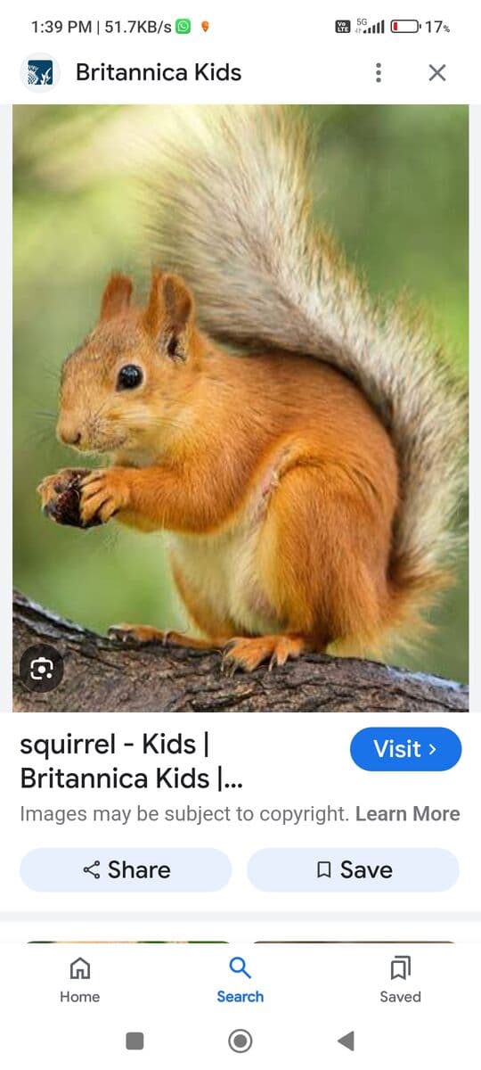 Question Image