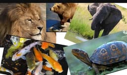 placeholder image to represent content