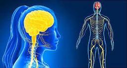 placeholder image to represent content