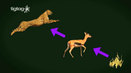 placeholder image to represent content