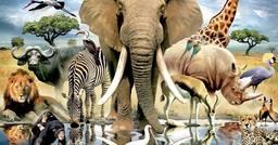 placeholder image to represent content