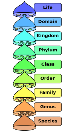 placeholder image to represent content