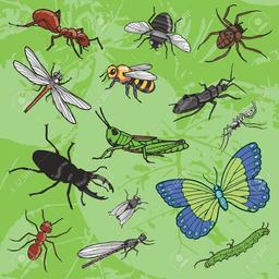 placeholder image to represent content