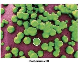 placeholder image to represent content