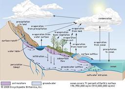 placeholder image to represent content