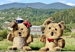 placeholder image to represent content