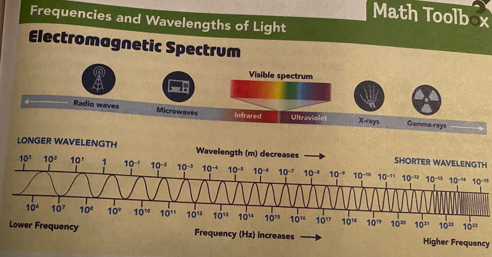 Question Image