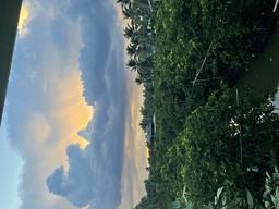 placeholder image to represent content