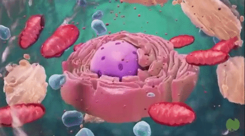 placeholder image to represent content