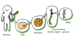 placeholder image to represent content