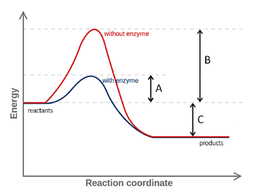 placeholder image to represent content