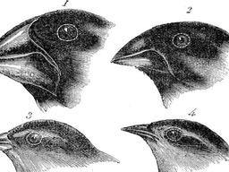 placeholder image to represent content