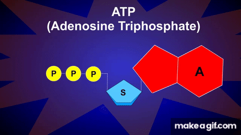 placeholder image to represent content