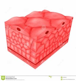 placeholder image to represent content