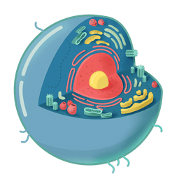 placeholder image to represent content