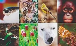 placeholder image to represent content