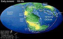 placeholder image to represent content