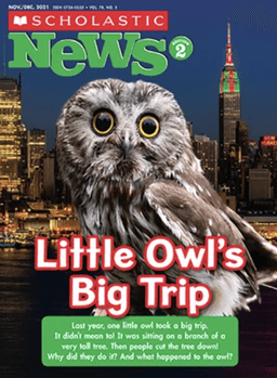 placeholder image to represent content