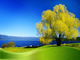 placeholder image to represent content