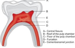 placeholder image to represent content
