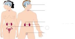 placeholder image to represent content