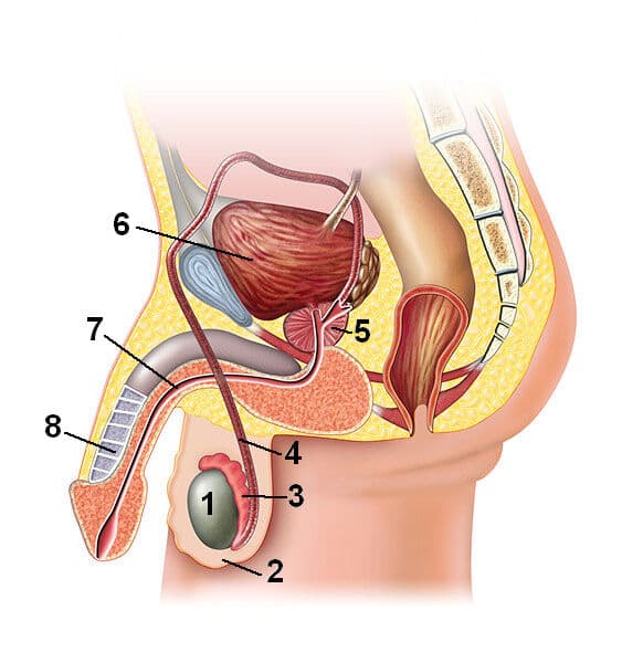 Question Image
