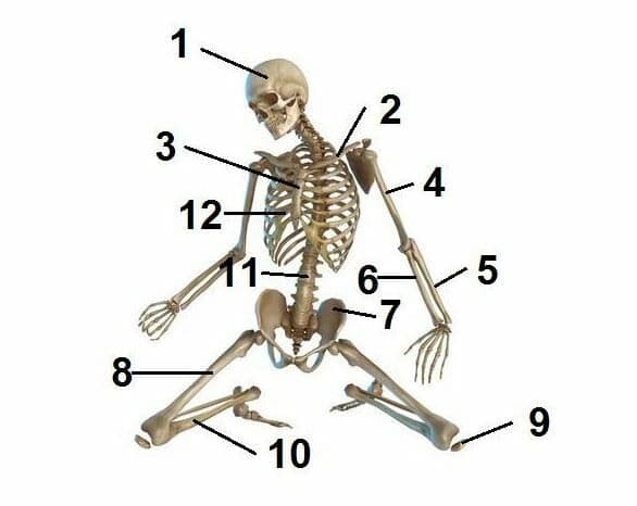 Question Image